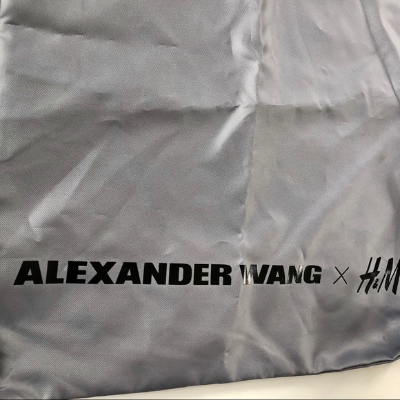 ALEXANDER WANG for H&M bag/backpack - Picture 3 of 8